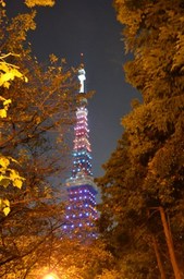 増上寺参道からの東京タワー.jpg